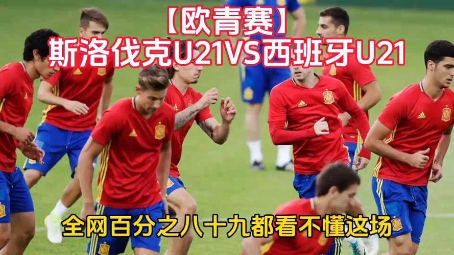 斯洛伐克队勇夺比赛胜利，成功晋级